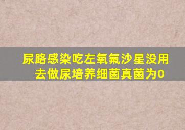 尿路感染吃左氧氟沙星没用 去做尿培养细菌真菌为0